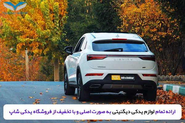 خرید لوازم یدکی دیگنیتی